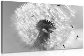 Quadro su tela – Dettaglio del soffione in bianco e nero