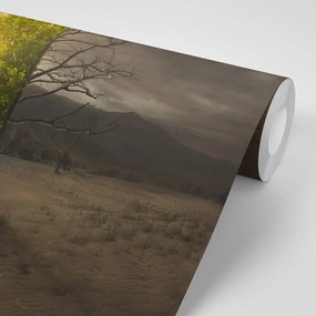 Carta da parati autoadesiva – Due versioni di albero