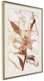 Poster  Lily on Marble Background  Cornice Quadri Cornice d'oro con passe-partout, Larghezza x Altezza Home decor 20x30