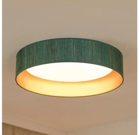 Brilagi - Plafoniera LED BOSTON ROLLER LED/24W/230V diametro 45 cm verde/oro