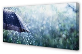 Quadro su tela Gocce ombrello di pioggia 100x50 cm