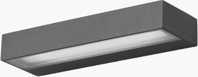 Applique da esterno a LED Fungo