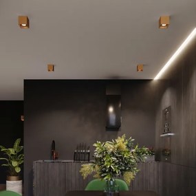 Sollux Sl.1182 - Faretto QUAD 1xGU10/10W/230V oro