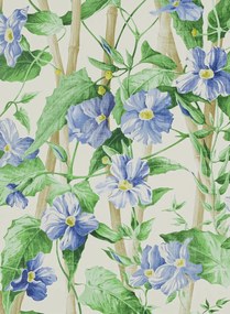 Manuel Canovas Carta da parati Elena - Ciel