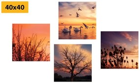 Set di quadri – Natura affascinante