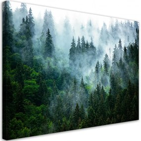 Quadro su tela, Foresta nella nebbia  Dimensioni 100x70