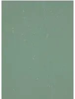 Terrastone Rustique floor - 15kg - 81 - Tanne