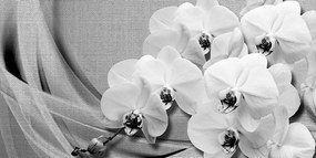 Stampa su tela – Orchidea su tela in bianco e nero