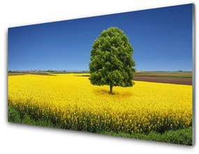 Pannello paraschizzi cucina Prato, albero, natura, campo 100x50 cm