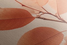 Stampa su tela – Rametti di foglie Peach Fuzz