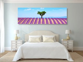 Quadro su tela – Campo di lavanda provenzale