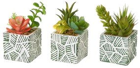 Piante artificiali in set da 3 (altezza 12 cm) Cactus - Casa Selección