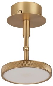 Faretto LED in oro ø 12 cm Asteria Spot - UMAGE