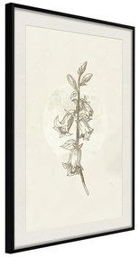 Poster  Beige Campanula  Cornice Quadri Cornice nera con pass-partout, Larghezza x Altezza Home decor 20x30