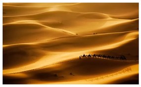 Fotomurale Carovana di cammelli