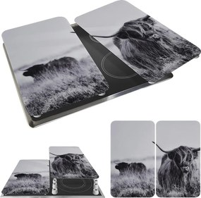 Set di copri fornelli in vetro temperato 2 pz 30x52 cm Universal Highland Cattle – Wenko