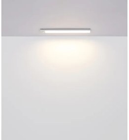 Globo 42409 - LED dimmer ricaricabile TRISTAN 2,5W/5V 1100mAh 40 cm