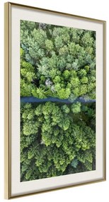 Poster  Forest from a Bird's Eye View  Cornice Quadri Cornice d'oro con passe-partout, Larghezza x Altezza Home decor 20x30