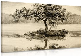 Stampa su tela – Ciliegio orientale in versione seppia