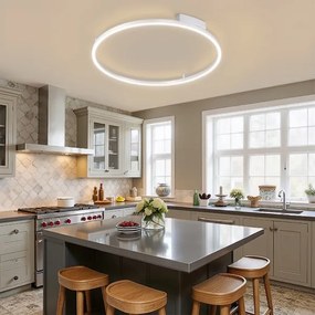 Brilagi - Lampada LED dimmerabile PORTOFINO LED/60W/230V Ø 80 cm argento + telecomando