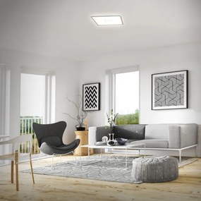 Briloner 3393-014 - Plafoniera LED FREE LED/22W/230V 42x42 cm