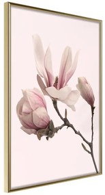 Poster  Blooming Magnolias II  Cornice Quadri Cornice d'oro, Larghezza x Altezza Home decor 20x30