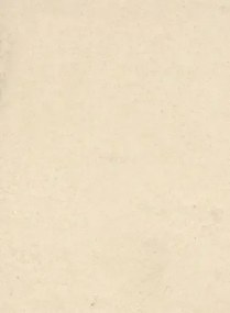 Terrastone Rustique floor - 15kg - 20 - champagner sienna - 15 kg