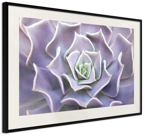 Poster  Like a Flower  Cornice Quadri Cornice nera con pass-partout, Larghezza x Altezza Home decor 45x30