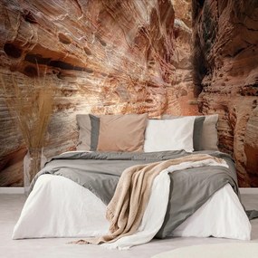 Carta da parati – Sentiero nel Grand Canyon