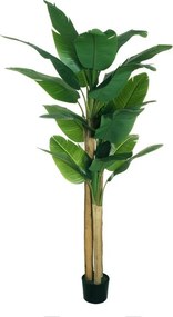 Pianta artificiale Banano in vaso di plastica H 200 cm ø 20 cm