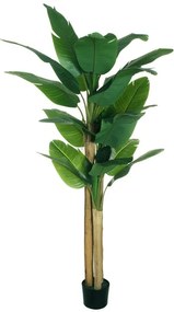 Pianta artificiale in vaso di plastica, hosta H 200 cm, Ø 20 cm