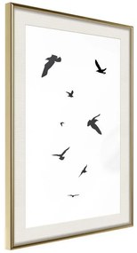 Poster  Birds  Cornice Quadri Cornice d'oro con passe-partout, Larghezza x Altezza Home decor 20x30