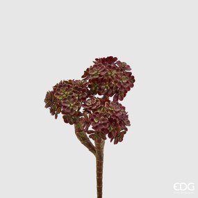 EDG - Enzo De Gasperi pianta artificiale crassula ovata h 20