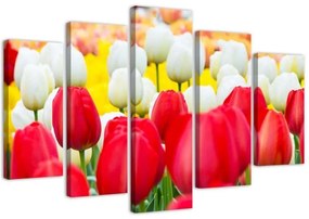 Quadro su tela 5 pannelli Tulipano rosso bianco