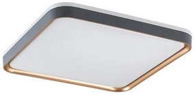 Rabalux 71029 - Plafoniera LED LIATRIS LED/26W/230V 3000K