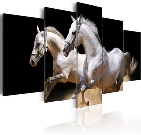 Quadro Galoppo  liberta' e potenza  Colore Nero, Dimensioni e Misure 100x50