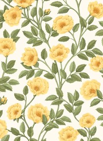 Cole & Son Carta da parati Hampton Roses - 118/7015