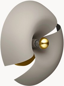 Applique Cycnus