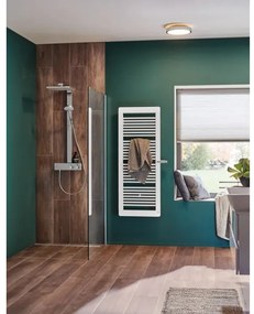 Paulmann 70882-LED/22,5W IP44 Plafoniera dimmerabile da bagno AVIAR 230V