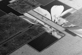 Quadro su tela – Astrazione floreale in bianco e nero