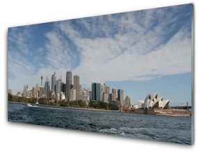 Quadro di vetro Città Case sul mare Sydney 100x50 cm