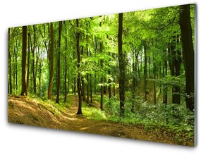 Quadro su vetro acrilico Foresta del percorso della natura 100x50 cm 2 appendini