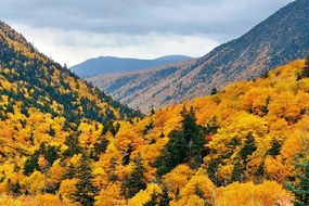 Carta da parati autoadesiva – Vista sulle maestose montagne