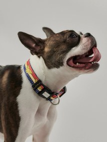 Sinsay - Collare per cane Wonder Woman - multicolor