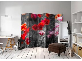 Paravento Red Poppies II [Room Dividers]