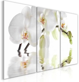 Quadro  Wonderful Orchid (3 Parts)  Larghezza x Altezza Home decor 60x30