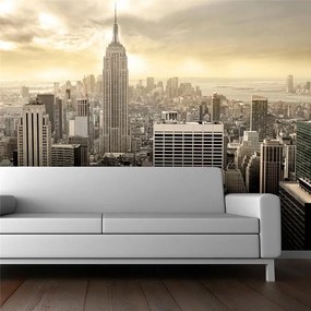 Fotomurale  New York:  Manhattan all'alba  Colore Grigio, Dimensioni e Misure 450x270