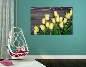 Quadro su tela – Incantevoli tulipani gialli su sfondo di legno