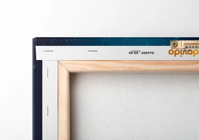 Stampa su tela – Gatto blu-oro