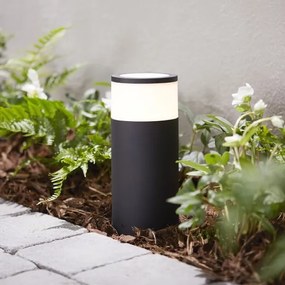 Philips 17420/30/P7 Hue CALLA LED RGB dimmerabile esterno 8W 24V IP65